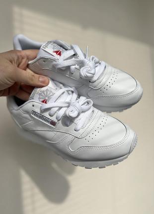 Кроссовки reebok classic оригинал 36-406 фото