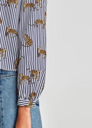 Рубашка zara с леопардовой полоской на пуговицах3 фото