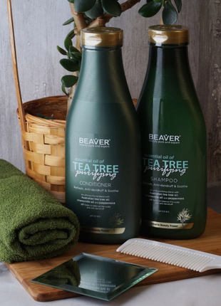 Набор для жирных волос beaver essential oil tea tree purifying: шампунь + кондиционер