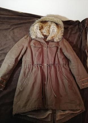 Зимова парку