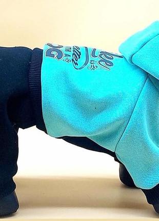 Костюм трикотажний для котів та собак "лаки"  (29см х 40-45см)