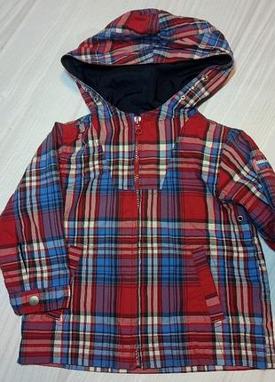 Ветровка gap