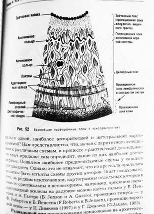 Спираль защиты и здоровья. светлана синеок. здоровье. чакры.7 фото