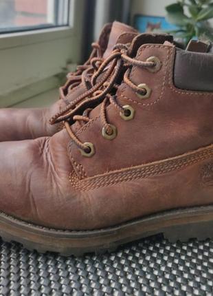 Дитячи черевики timberland