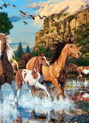 Пазлы castorland 1000 "волшебная страна лошадей" 68*47см, c-104789