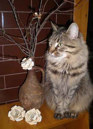 Декоративні троянди) 4 розміри