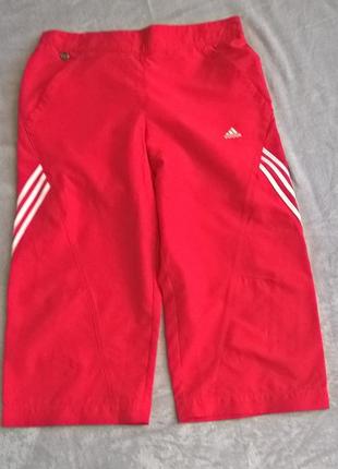 Бриджи  adidas