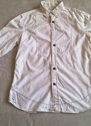 Рубашка  горошек next