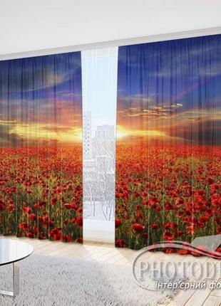 3d фотоштори «маки на сході сонця» на замовлення, 1 м²