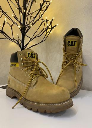 Черевики cat caterpillar colorado