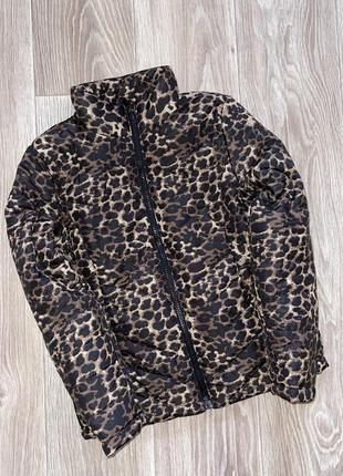 Деми куртка леопард