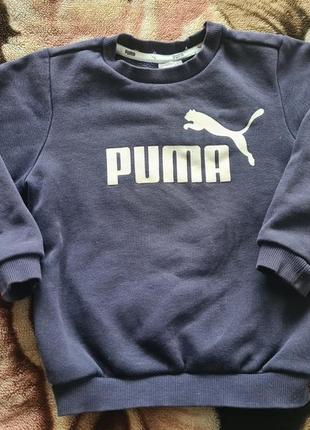 Реглан puma