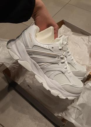 Кросівки skechers жіночі bobs sport 117307wht