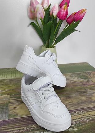Кеди 7