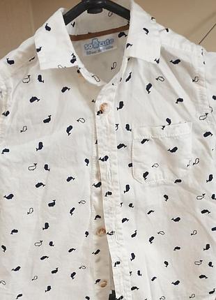 Сорочка на рочок.