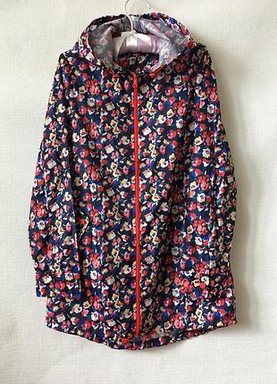 Ветровочка-парку