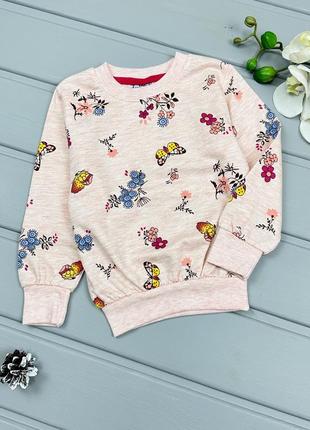 Свитшот бабочки