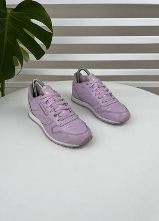 Оригінальні шкіряні кросівки reebok classic