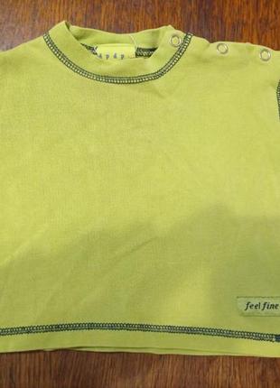 Реглан 68 розміру 1815