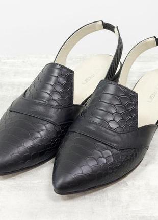 Класичні туфлі з відкритою п'ятою колір на вибір3 фото