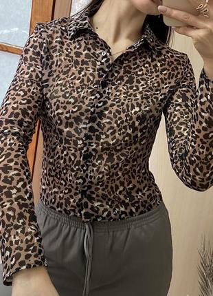 Укорочена леопардова блуза в сітку