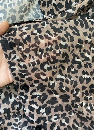 Укороченная леопардовая блуза в сетку5 фото
