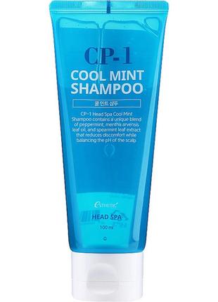 Освіжний шампунь для волосся esthetic house cp-1 cool mint shampoo, 500 мл.2 фото