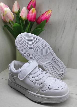 Кеди 3