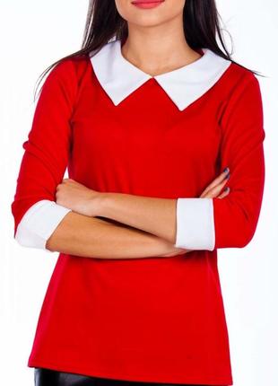 Кофта "воротничок"