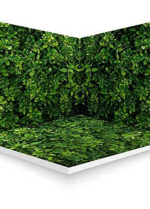 Кутоввий 3 d фотофон