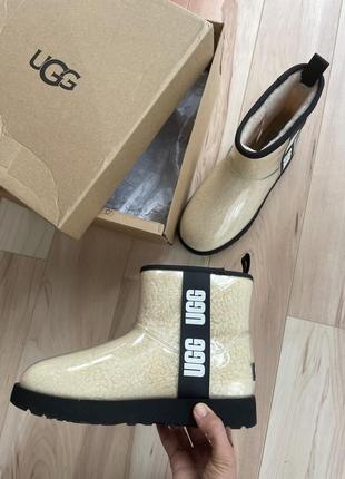 Чоботи  ugg