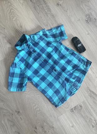 Сорочка для хлопчика з коротким рукавом від next