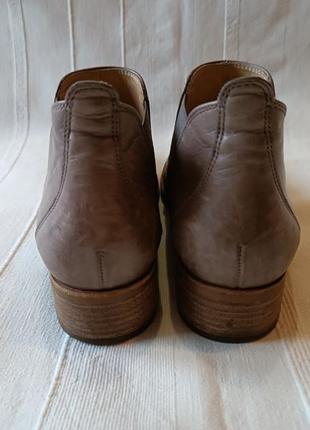 Трюфельно-сірі шкіряні жіночі черевики броги челсі оксфорди paul green р.4,5/37/37,56 фото