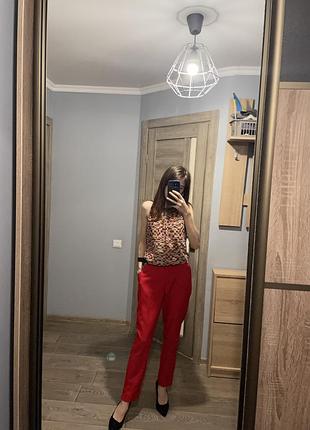 Брюки женские 2