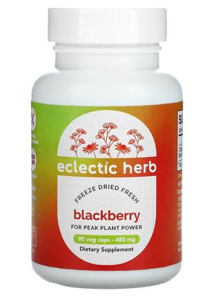 Eclectic institute, raw fresh freeze-dried, ежевика, 480 мг, 90 растительных капсул без гмо