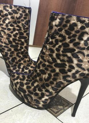 Трендові леопардові черевики ботильйони чоботи на шпильці ефектні яскраві стильні модні
