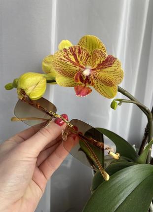 Сонцезахисні окуляри без оправи для чоловіків і жінок, прямокутної форми, у вінтажному...