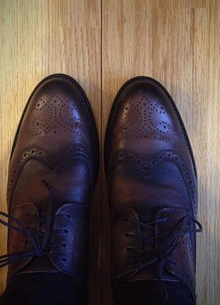 Туфлі чоловічі