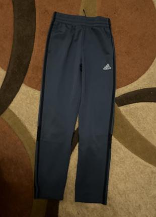 Брюки адидас брюки