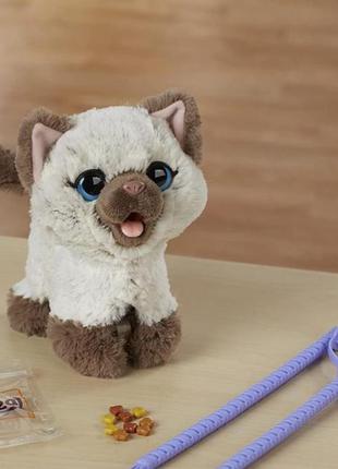 Інтерактивна іграшка кошеня hasbro
