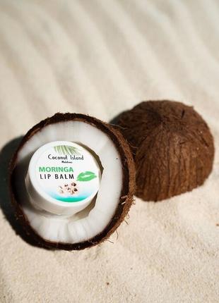 Масло для губ coconut island maldives