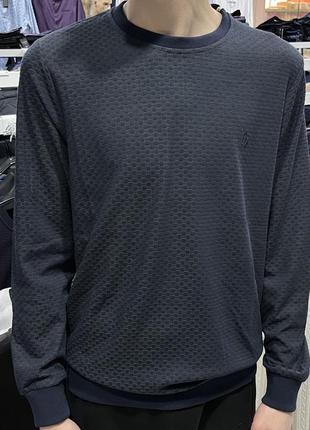 Кофта мужская весенняя