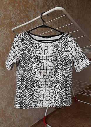 Блуза кофта рептилия змея xxs xs s кроп топ черепаха крокодил весна