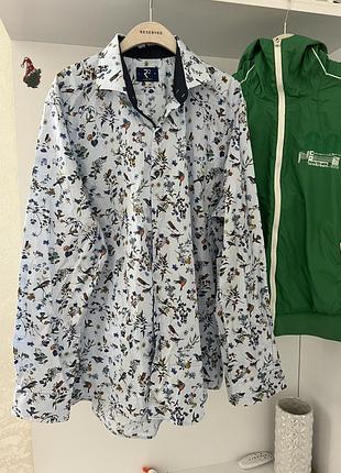 Котоновая рубашка батал asos