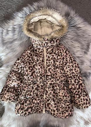 Леопардовая деми курточка h&amp;m/весенка курточка/курточка h&amp;m/леопардовая демы курточка h&amp;m/курточка для девочки 2г h&amp;m/стильная весня курточка
