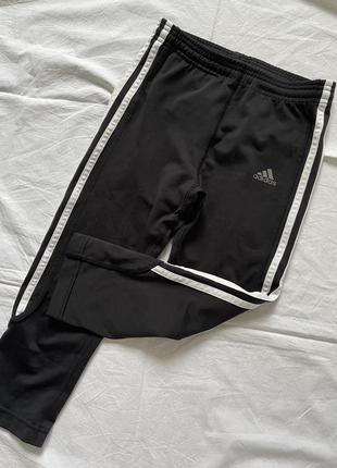 Капри adidas оригинал3 фото