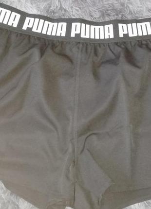 Шорти puma