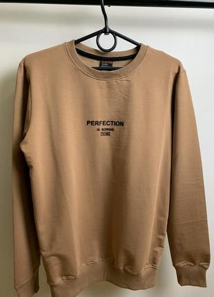 Чоловічий бежевий світшот