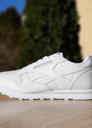 Кроссовки reebok classic8 фото