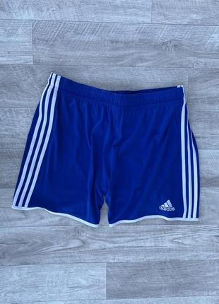 Adidas шорты l/xl футбольные синие